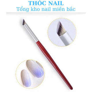 cọ dặm omber