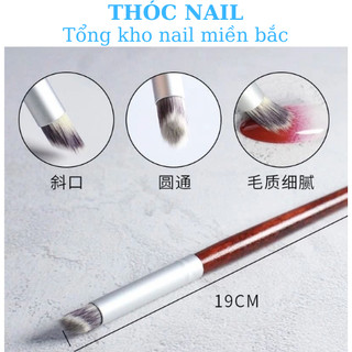 cọ dặm omber