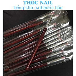 cọ dặm omber