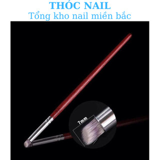 cọ dặm omber