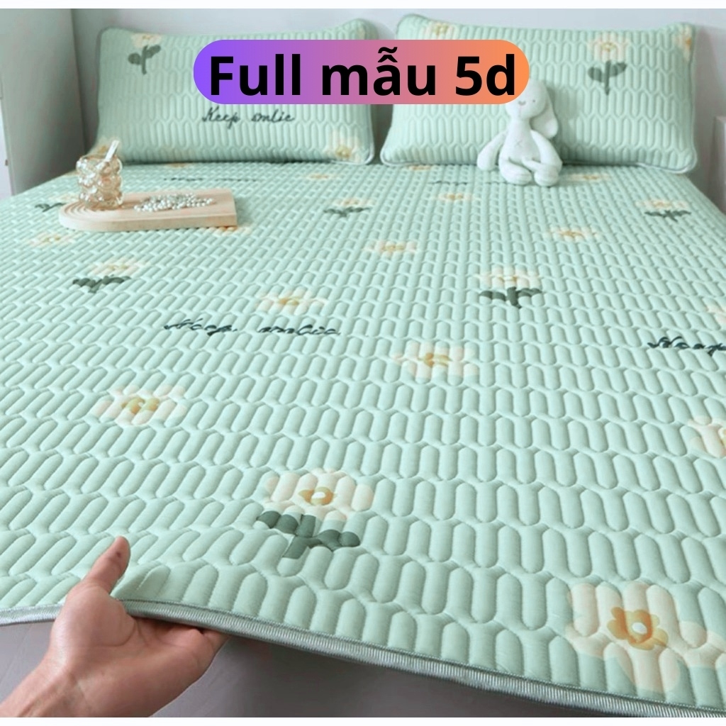 Chiếu cao su non điều hòa cao cấp 3D, 5D TENCEL LATEX 1m6x2m, 1m8x2m, 2mx2m2