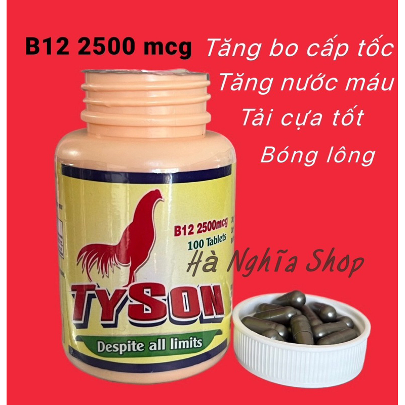 TYSON B12- Nuôi gà đá