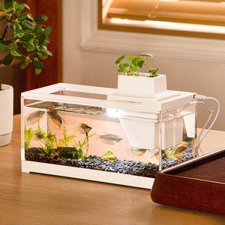 Bể cá mini có tích hợp đèn thủy sinh NAGO, bể cá để bàn văn phòng, Hệ Thống Tuần Hoàn 30*13*19.3cm