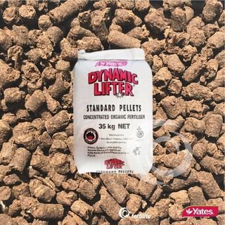 Phân bón hữu cơ khoáng Yates Dynamic Lifter Standard Pellets