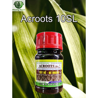 Acroots 10sl - siêu kích rễ naa.