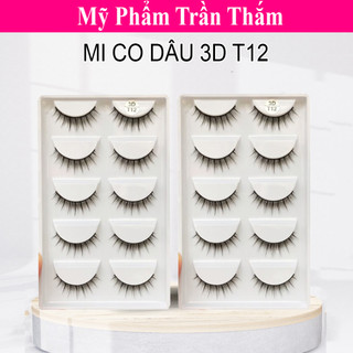 Mi Giả 3D 5 Cặp Mã T12 Siêu Tự Nhiên ⭐ CÓ VIDEO HÀNG THẬT DO SHOP TỰ QUAY ⭐