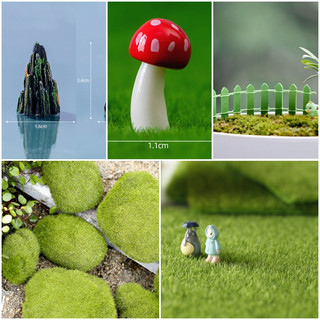Hòn đá bám cỏ, Thảm cỏ xanh - Trang trí tiểu cảnh, terrarium, sen đá, hòn non bộ