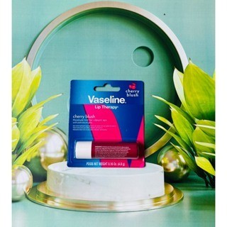 Son Dưỡng Môi - Vaseline Lip Therapy 4.8g