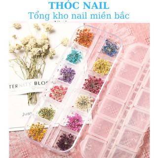 hoa khô trùm baby