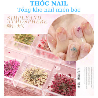 hoa khô trùm baby