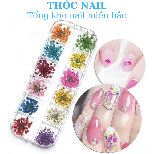 hoa khô trùm baby