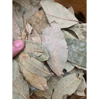 Lá Nguyệt quế khô 500gram