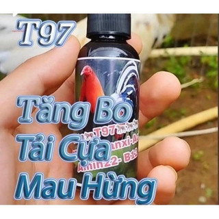 T97 nuôi gà đá mau hừng cự mạnh