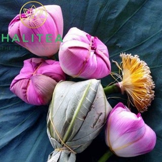 Trà Ướp Sen Tây Hồ Bông Tươi HALITEA 160g, Trà Ướp Sen Tây Hồ Sấy Thăng Hoa Tăng Cường Hệ Miễn Dịch