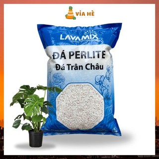 Đá perlite trân châu túi 5dm LAVAMIX trồng sen đá kiểng lá xương rồng nuôi kỳ đà