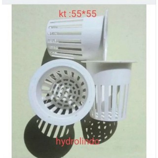 COMBO 2 RỌ TRỒNG RAU THỦY CANH