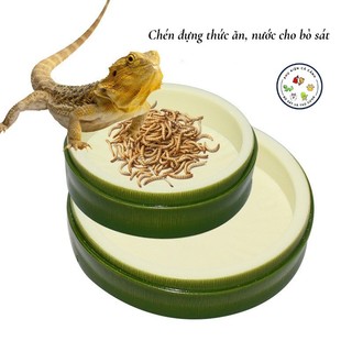 Chén đựng thức ăn, nước uống cho bò sát, ốc mượn hồn , LG, ếch, rùa cạn