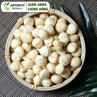 Nhân Macca Đắk Lắk tách vỏ sấy thơm ngon giàu dinh dưỡng - Làm sữa hạt, ngũ cốc...