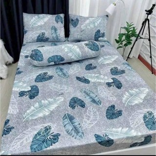 Bộ ga gối thun lạnh Hàn Quốc in 3D gồm 1 drap 2 áo gối nằm 1 áo gối ôm