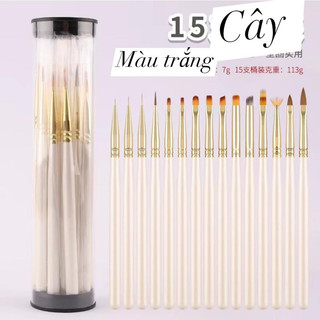 cọ vẽ 15 cây 15 mẫu