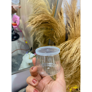 10 Hũ pet sọc đựng sữa chua, panacotta