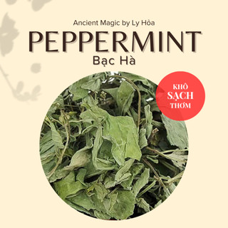 500g PEPPERMINT sấy khô loại đẹp | Lá xanh - sạch - thơm | Làm Spell, Witchcraft, pha trà,… | Ancient Magic by Ly Hỏa