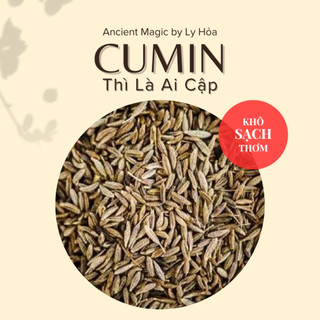 100g CUMIN seeds | Nguyên liệu Spell / Witchcraft - Gia vị món ăn | Ancient Magic by Ly Hỏa