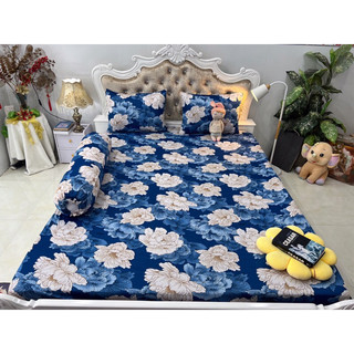 Set 4 drap áo gối thun lạnh hàn quốc