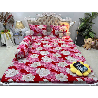 set 4 drap áo gối THUN LẠNH HÀN QUỐC