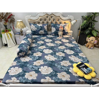 set 4 drap áo gối THUN LẠNH HÀN QUỐC