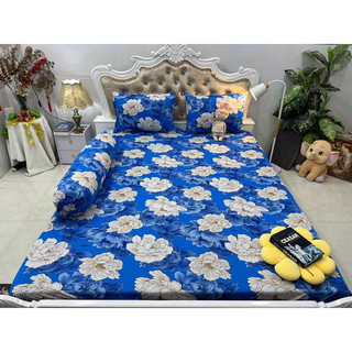 set 4 drap áo gối THUN LẠNH HÀN QUỐC