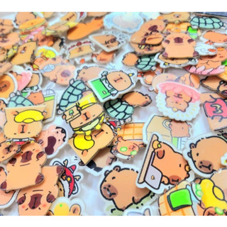 Ghim cài Capy bara nhiều mẫu cute