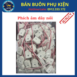 Phích cắm Âm, phích cắm Điện Dương