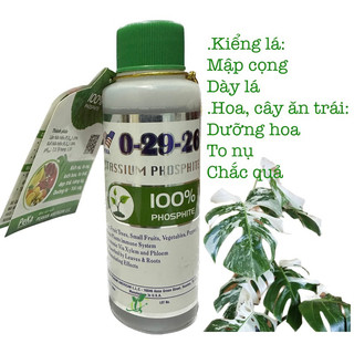 Phân Bón Lá PeKa NK Mỹ,Giúp Bóng Dày Lá Phù Hợp Kiểng Lá Monstera..Kích Nhiều Nụ,To Trái, chai 100ml