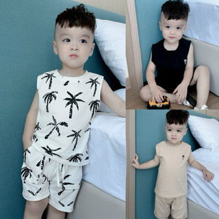 Sét 3 bộ cây dừa cho bé trai
