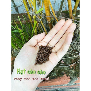 HẠT CÀO CÀO THAY THẾ MỒI TƯƠI 100gram