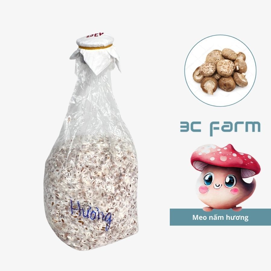Meo giống nấm hương, đông cô (500gr) hàng có sẵn chất lượng - 3C FARM