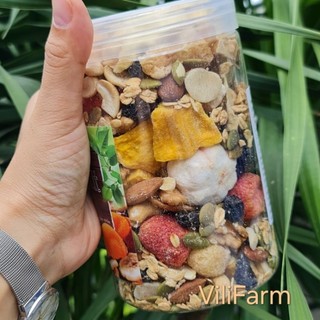 Granola mix trái cây sấy giòn không đường