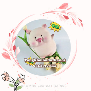 Heo tiết kiệm tiền má phúng phính, heo tiết kiệm thạch cao, ống tiết kiệm hình heo