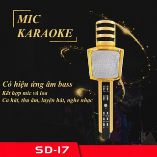 Micro Karaoke kiêm Loa Bluetooth SD-08, SD-17, SD-18