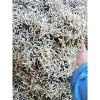 1kg Cá cơm mờm sữa khô đặc sản Nha Trang - Đóng gói hút chân không
