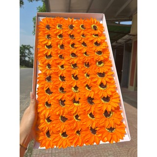 Hoa sáp hướng dương, đầu bông hoa sáp hướng dương xinh