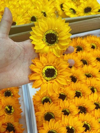 Hoa sáp hướng dương, đầu bông hoa sáp hướng dương xinh ( 50 bông )