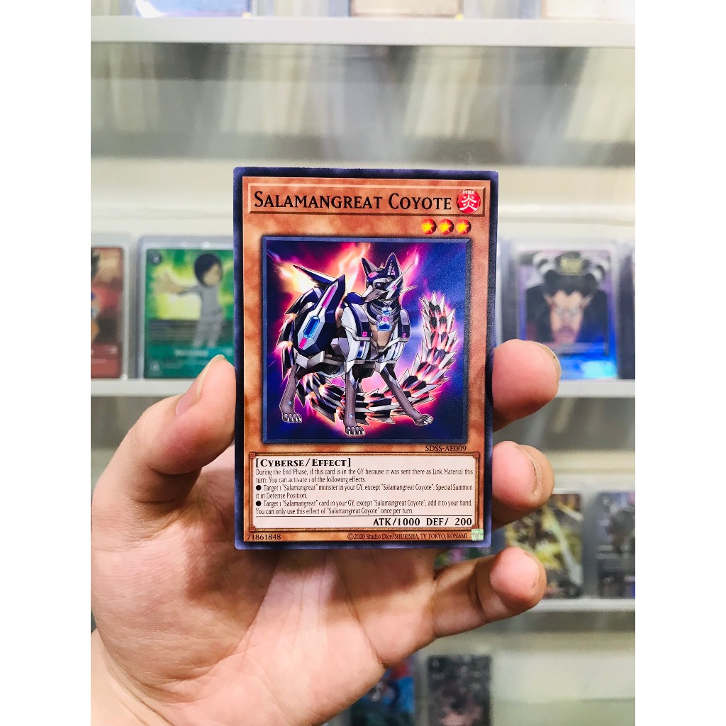 SDSS-AE009 - Salamangreat Coyote - Common - 1st Edition