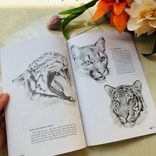 Sách - Bí quyết vẽ bút chì - Văn Lang