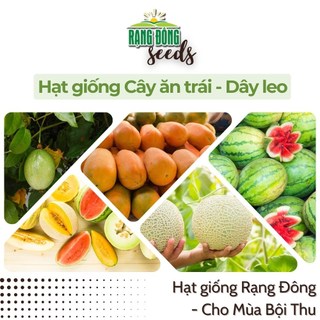 Hạt giống Dưa hấu, Dưa lê, Dưa lưới, Dưa leo - Dây leo ăn quả ngọt trồng quanh năm - Rạng Đông Seeds