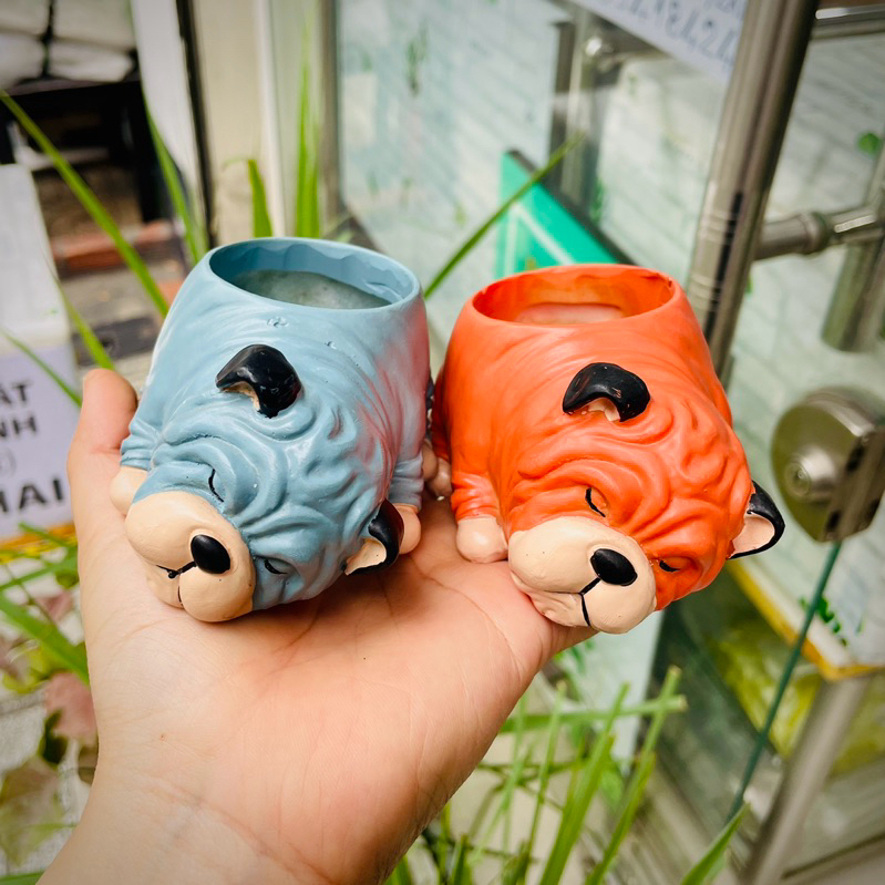 [CÓ SHIP TỈNH] Chậu Chó Bull Nằm Ngủ