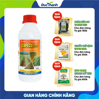 Chế phẩm tr.ừ cỏ CAPECO 500EC - D.IỆT CỎ TRÊN NGÔ, KHOAI MÌ, MÍA, LẠC