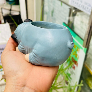 [CÓ SHIP TỈNH] Chậu Chó Bull Nằm Ngủ