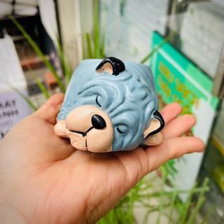 [CÓ SHIP TỈNH] Chậu Chó Bull Nằm Ngủ
